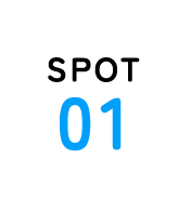 SPOT01